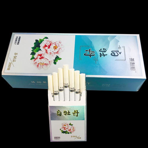 茶煙與蘋果爆珠 現代男士的替煙新選擇